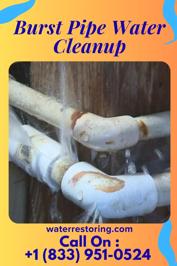 Burst Pipe Water Cleanup in New Ulm, MN