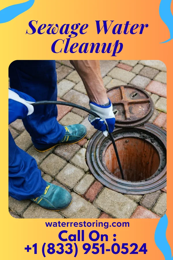 Sewage Water Cleanup in New Ulm, MN